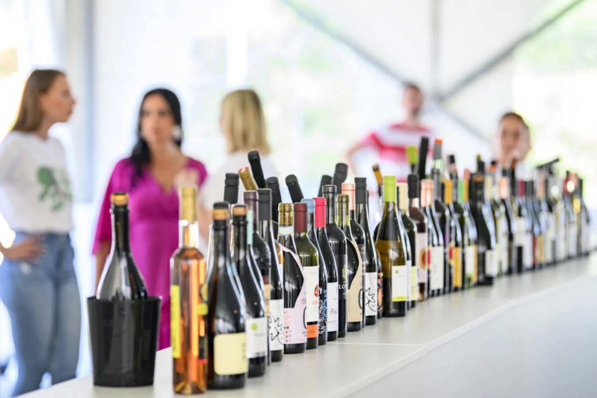 Bregi, vino i život u sporijem ritmu: Vikend je rezerviran za Eco-Wine Fest